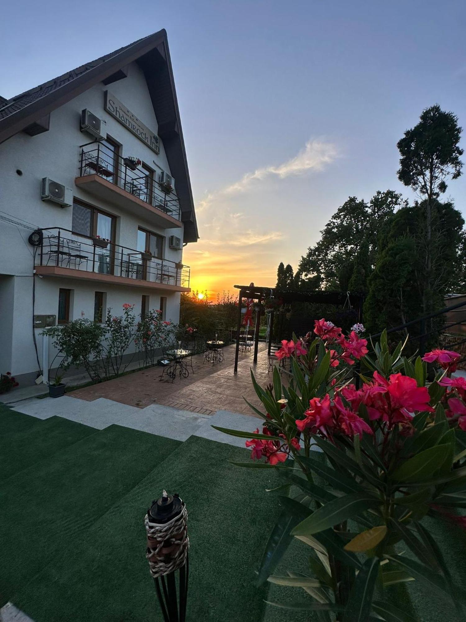 Shamrock Inn Iasi Buitenkant foto