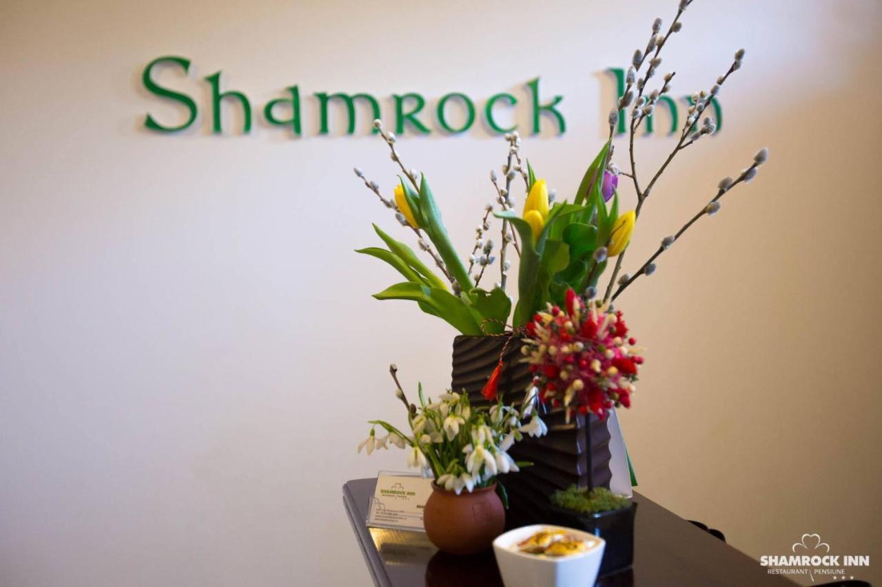 Shamrock Inn Iasi Buitenkant foto